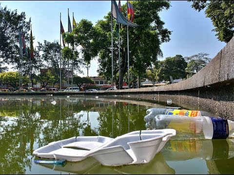 Tres lugares de Cali que son un criadero de zancudos