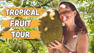 Rare Tropical Fruit Farm Tour in Costa Rica with Paul Zink