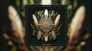 Tribal Journey - Jazā & Piti Lion -  1 hour Ambient Downtempo & Didgeridoo Meditation