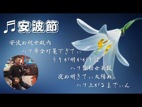 [沖縄三線]♬安波節(あはぶし)