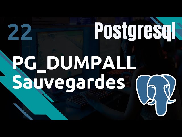 PostgreSQL - 22. Sauvegardes : pg_dumpall pour sauvgegarder votre instance | tutos fr