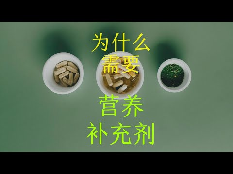 为什么营养物质对我们的身体和日常功能很重要？