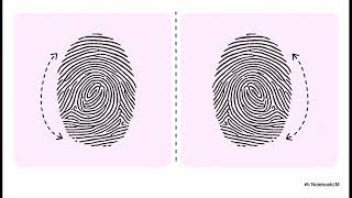 Huellas y Evidencia Forense