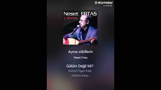 Açma Zülüflerin - Neşet Ertaş Ürkü Şetertaş