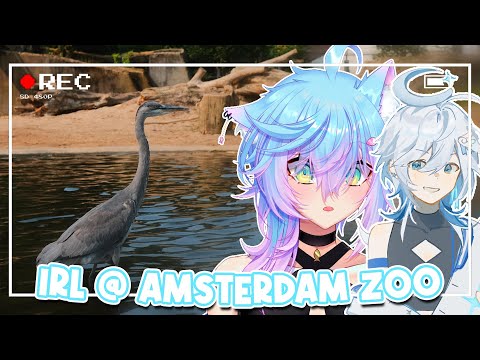 Femboy Explores Amsterdam Zoo!~ (IRL)
