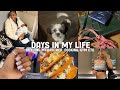 Days in my life: meeting my little brother, working out, cooking, nails + more!