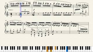 Flight of the Bumblebee by Rimsky- Korsakov (1844-1908)