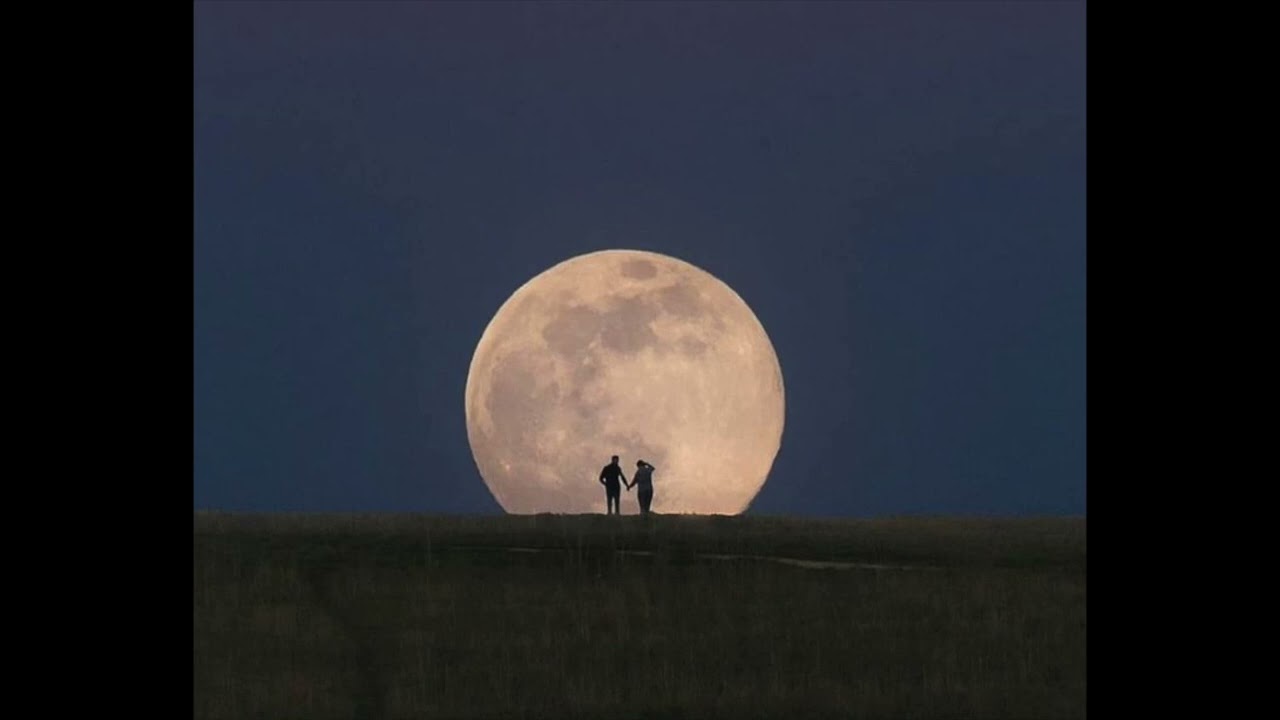 [pov:] you're lost in daydreams for 1 hour