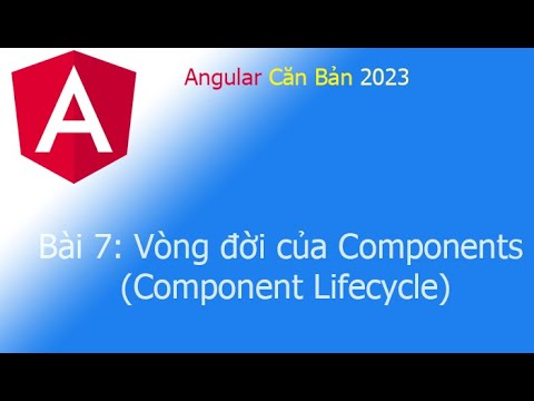 Angular 2023 - Bài 7: Vòng đời của Components (Component Lifecycle ...