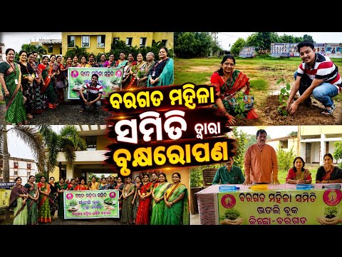 PLANTATION BY BARGARH MAHILA SAMITI 