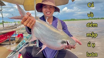 Câu cá vồ đém và cá cóc mùa nước nổi | Long Xuyên - An Giang #cauca #fishing