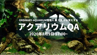 第2回 アクアリウムQA 2020年8月9日17:00 前半