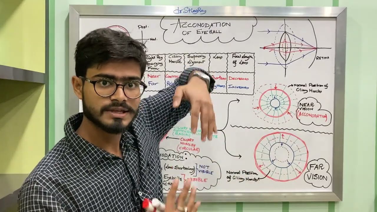 Accommodation of Eyeball || Mechanism of Ciliary Muscles || MBBS || Ophthalmology