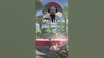 It will NOT leaf you hanging! #zelda #botw #gamefails