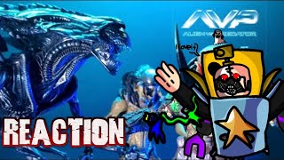 me react to wolf predator, scar predator vs queen alien , predalien stop-motion