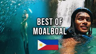 The Best of Cebu  Moalboal Vlog