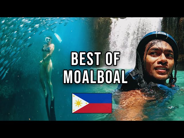 Travel vlog - The Best of Cebu - Moalboal Vlog 🇵🇭