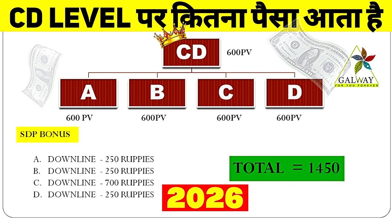 CD level per Kitna Paisa aata Hai | CD Level income in Glaze Trading India Pvt Ltd