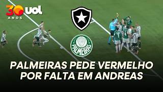 ERA PARA VERMELHO? ANDREAS SOFRE FALTA NA MEIA-LUA E MARÇAL LEVA SÓ AMARELO EM BOTAFOGO X PALMEIRAS