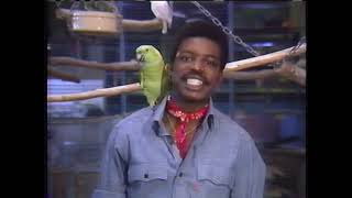 Reading Rainbow The Day Jimmy's Boa Ate The Wash S1 E14 VHS Video 1983