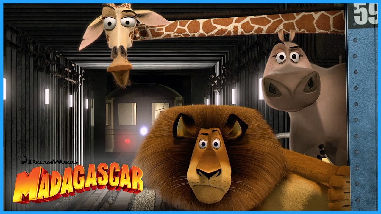 Gang Escape the ZOO?! 😳🦓 | DreamWorks Madagascar