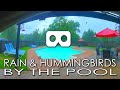 VR180 Summer: Rain and Hummingbirds By The Pool