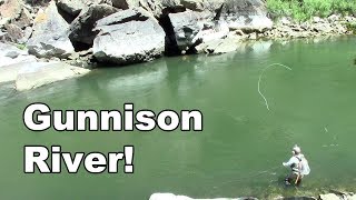 Gunnison River Colorado  Fly Fishing Tailwater of the Blue Mesa Reservoir  McFly Angler Episode 27