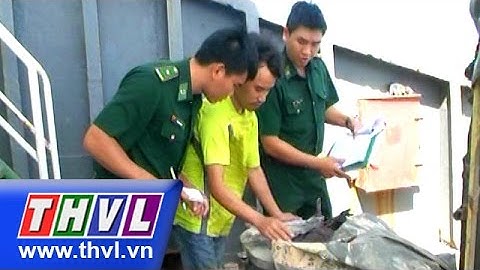 THVL | Tàu vận chuyển hơn 2000 tấn bã đậu và lúa mì không đủ chứng từ tại Bà Rịa – Vũng Tàu