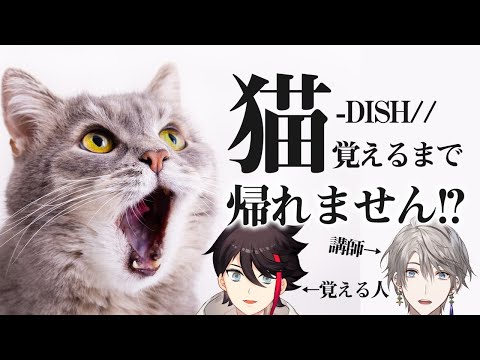 『猫』うたえるようになるまで帰れない！！講師・甲斐田晴　【三枝明那 / にじさんじ】