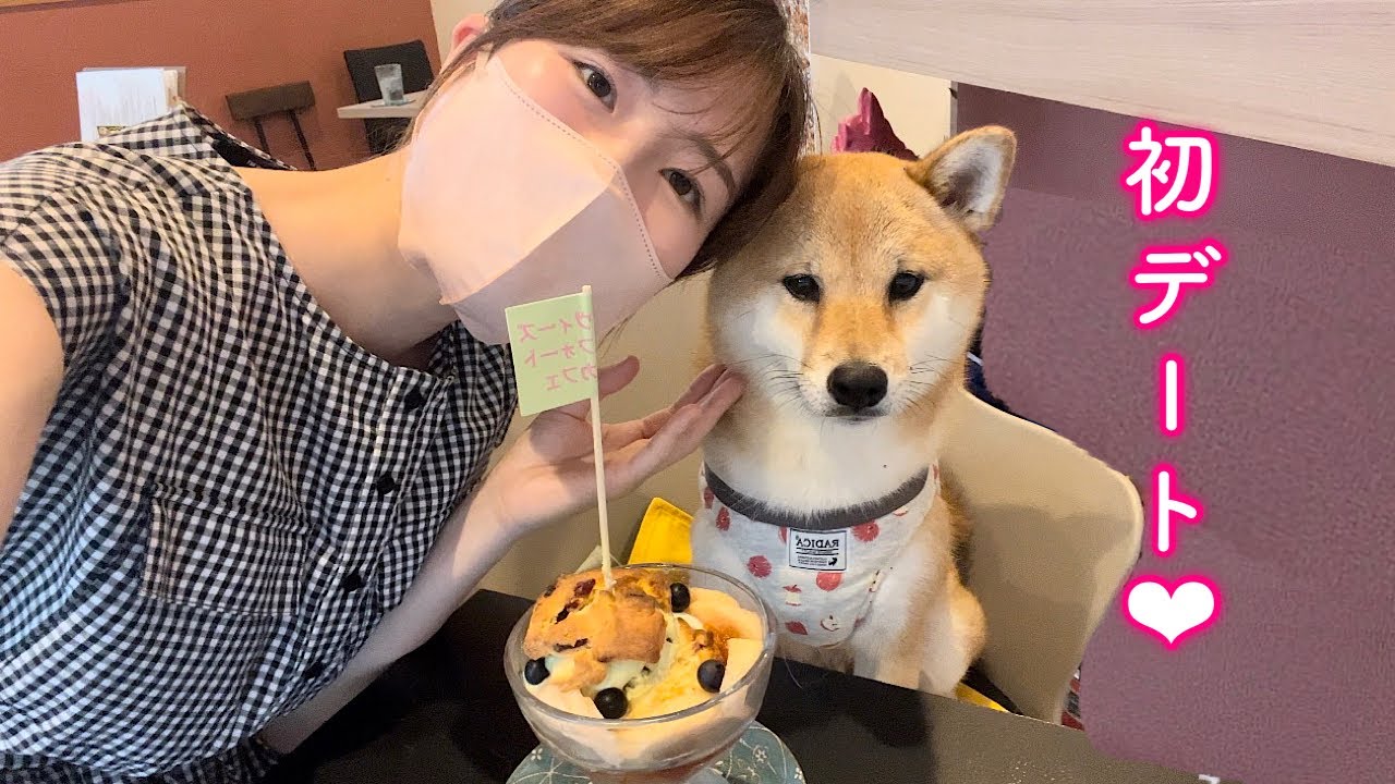 念願の初デートでママを独り占めできて幸せそうな柴犬が可愛い