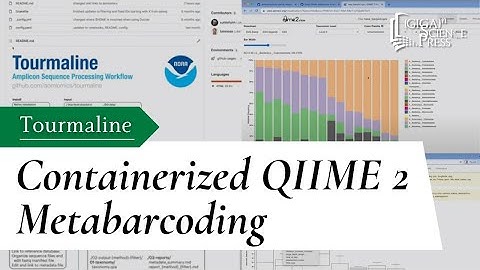 Tourmaline: A containerized workflow for rapid and iterable metabarcoding analysis using QIIME 2