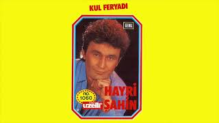 Hayri Şahin - Sevilmeden Sevdim