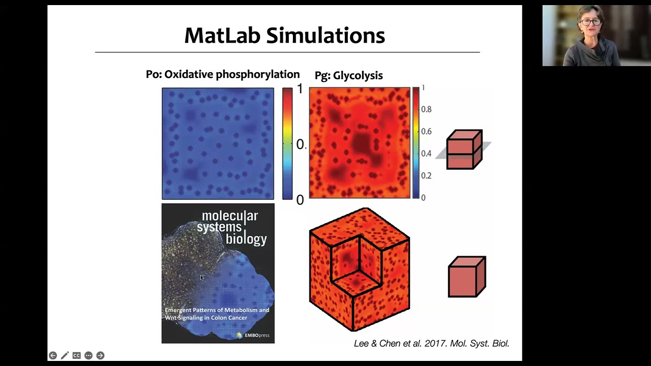 Cancer Stem Cell Heterogeneity and Tumor Microenvironments in Colorectal Cancer