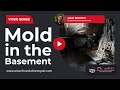 How to Identify and Treat Mold in the Basement | Olson Foundation Repair
