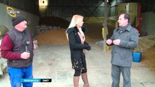 HANIMAĞA - İZMİT 6