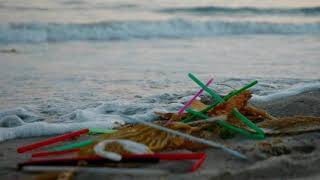 PSA Plastic Straws
