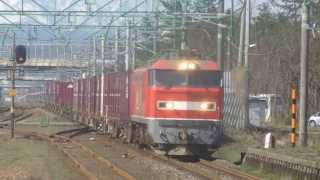[代走]ＥＦ５１０－５牽引３０９３レ犀潟通過