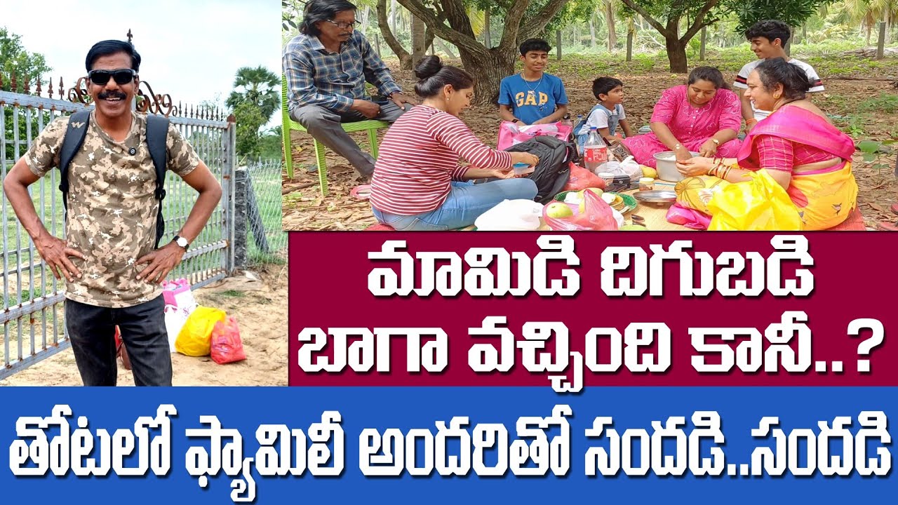 మా మామిడి తోటలో వేసవి సెలవులు – ప్రకృతి మధ్య ఆనంద జీవితం! 🌞🌳 #godavarivibes