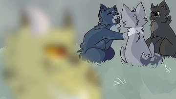 C A E S E R | Leopardstar PMV MAP | Part 8