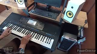 Jan Hammer -Crockett&#39;s Theme ... Miami Vice .. cover Yamaha PSR  SX700