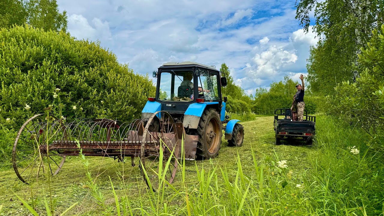 НА ПОКОСЕ ВЫРОС БУРЬЯН.ТРАВА ПО ШЕЮ.КОСИМ СЕНО В СИБИРИ.