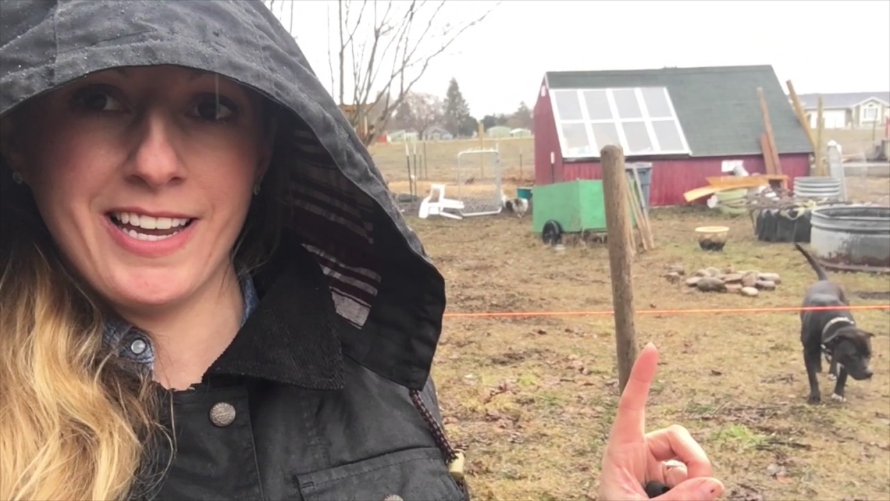 Farm Life | How to build a fence | Keeping chickens