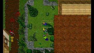 The Best Trap on Rookgaard