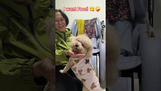 I Want Food  foodlover