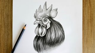 Realistic Rooster Drawing / Step by Step Pencil Drawing