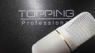 Topping Built a Mic?! (CL101 Review)