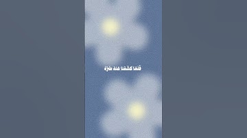 سورة يونس علي جابر