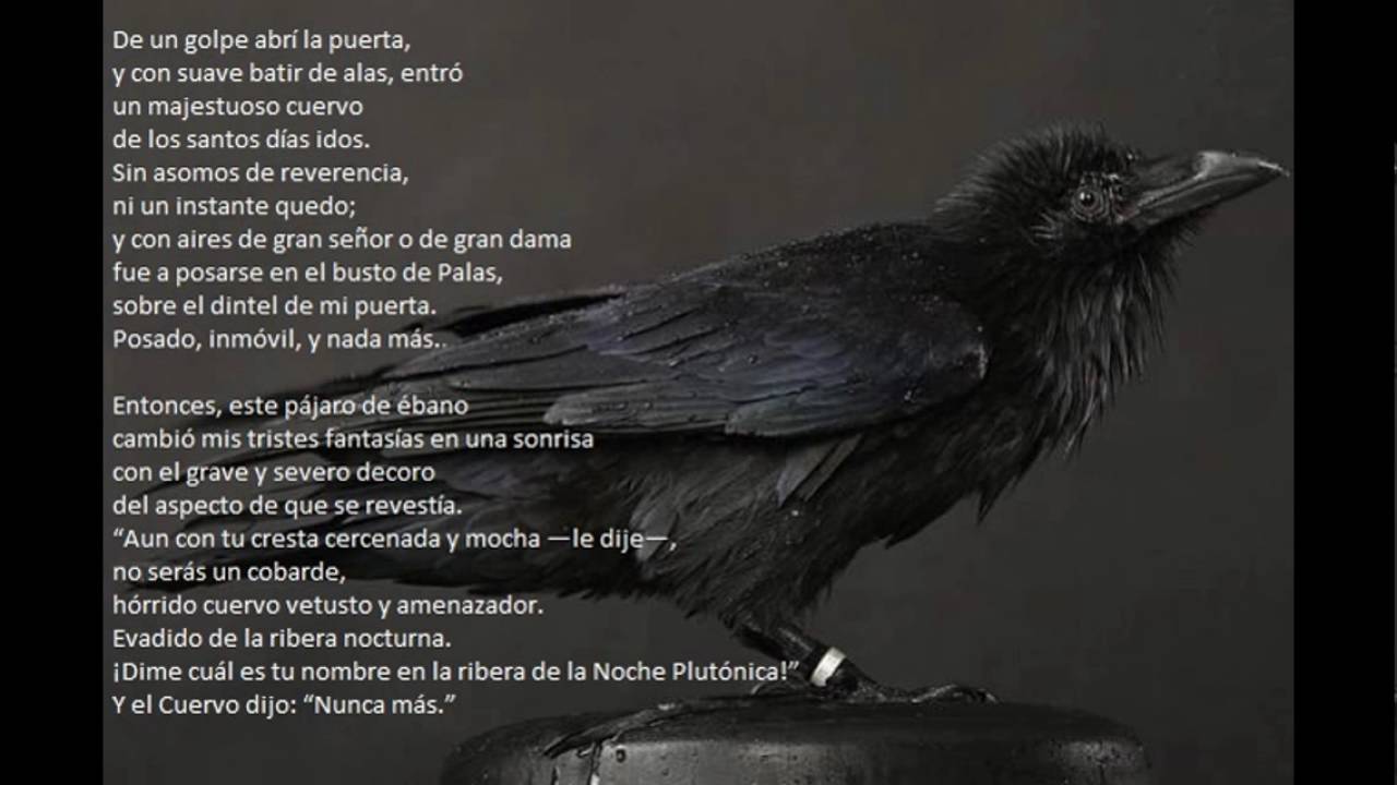 Poema El Cuervo De Edgar Allan Poe Poema Collection