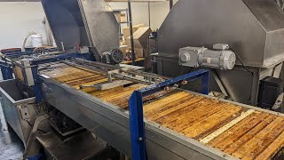 Beekeeping Q/A with Commercial Beekeeper Blake Shook!