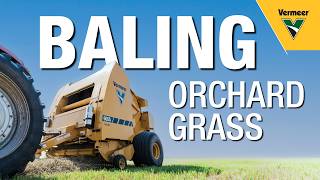 Baling hay with the Vermeer 605S Rancher baler